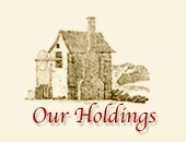 Our Holdings